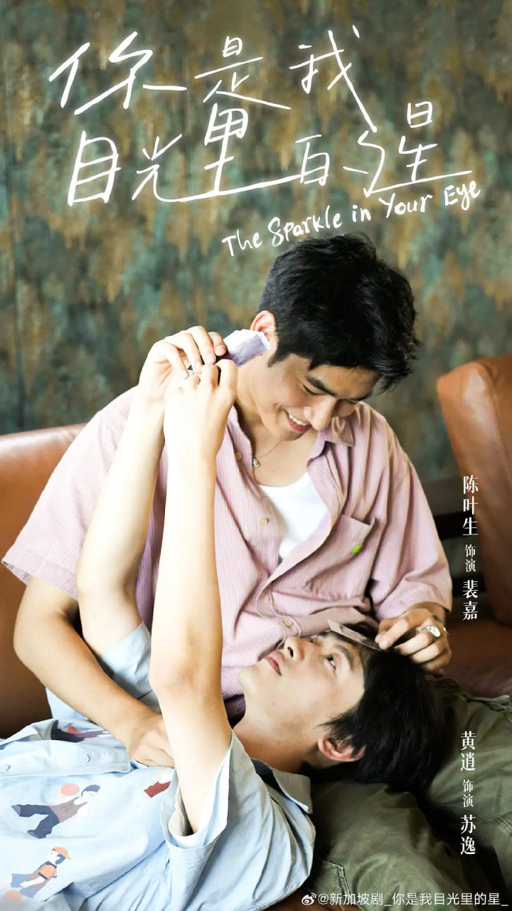 你是我目光里的星